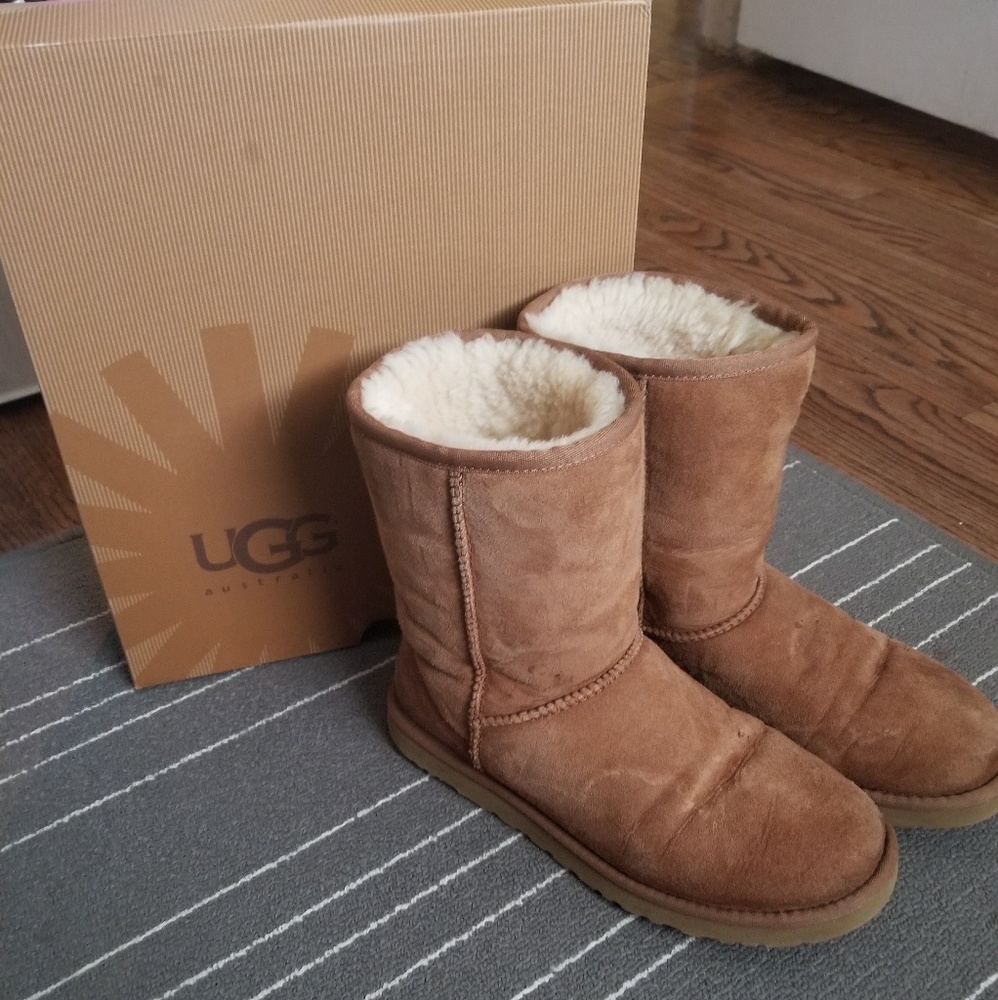 Ugg Classic Short Chestnut Boots